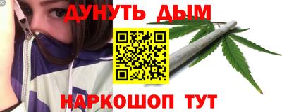 прущие грибы Краснодар