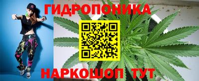 марихуана Краснознаменск